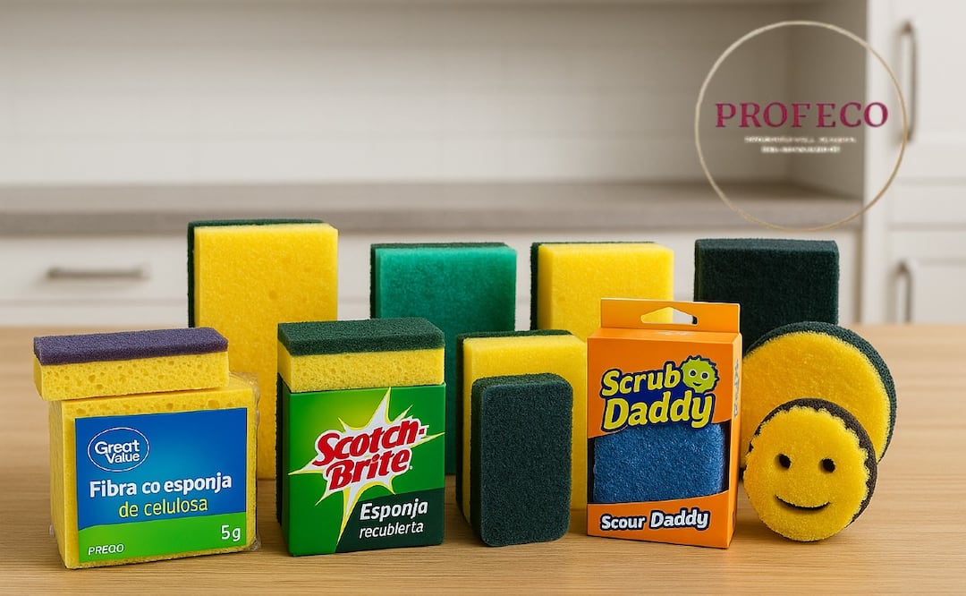 PROFECO revela cuáles son las mejores fibras de cocina en México
Imagen Ilustrativa: IA