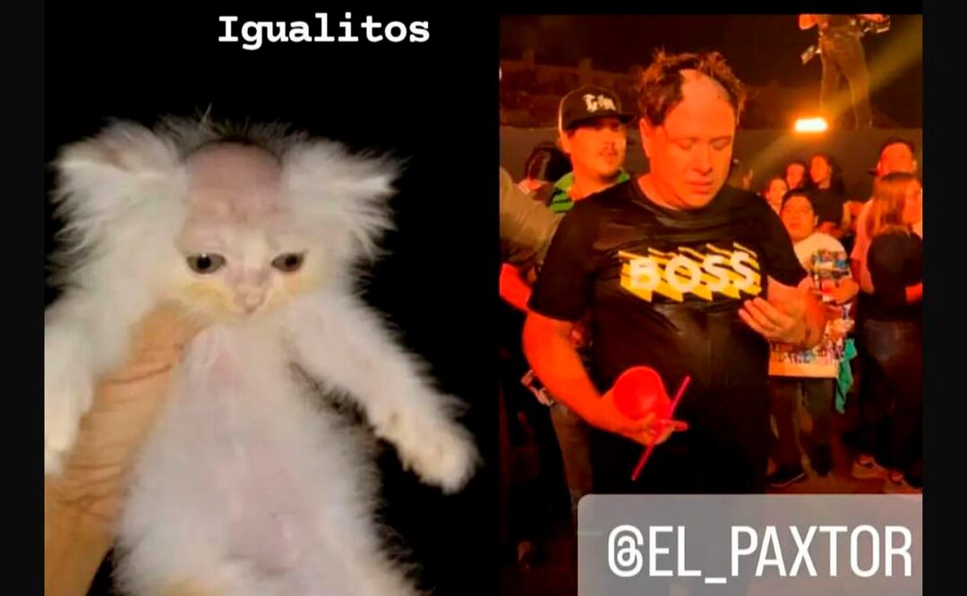 Rapan a candidato de Morena, en pleno concierto de Grupo Firme