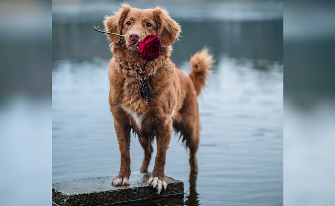 Lugares que puedes visitar para este 14 de febrero en la CDMX