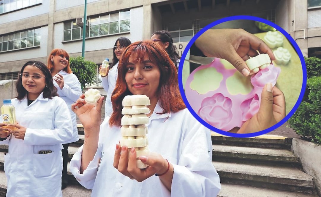 ¿Qué es Es-Pumita? El proyecto de la UNAM que podría llegar a las Tiendas del Bienestar (Foto: Paola Reyes)