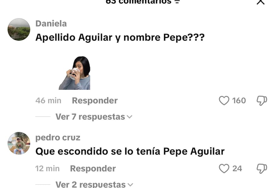 Comentarios señalando a Pepe Aguilar (Vía: Tik Tok)