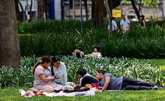 ¿De qué nos preocupamos? Encuesta del Inegi revela que población joven no piensa en hijos ni bodas
