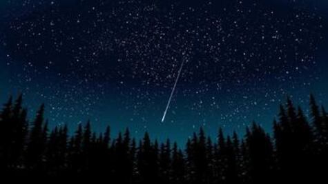 La gran noche estrellada elgrafico