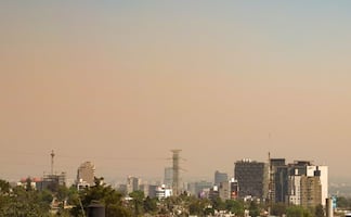 Se levanta contingencia en CDMX y Edomex: ¿Cómo aplica el Hoy No Circula este Miércoles de Ceniza?