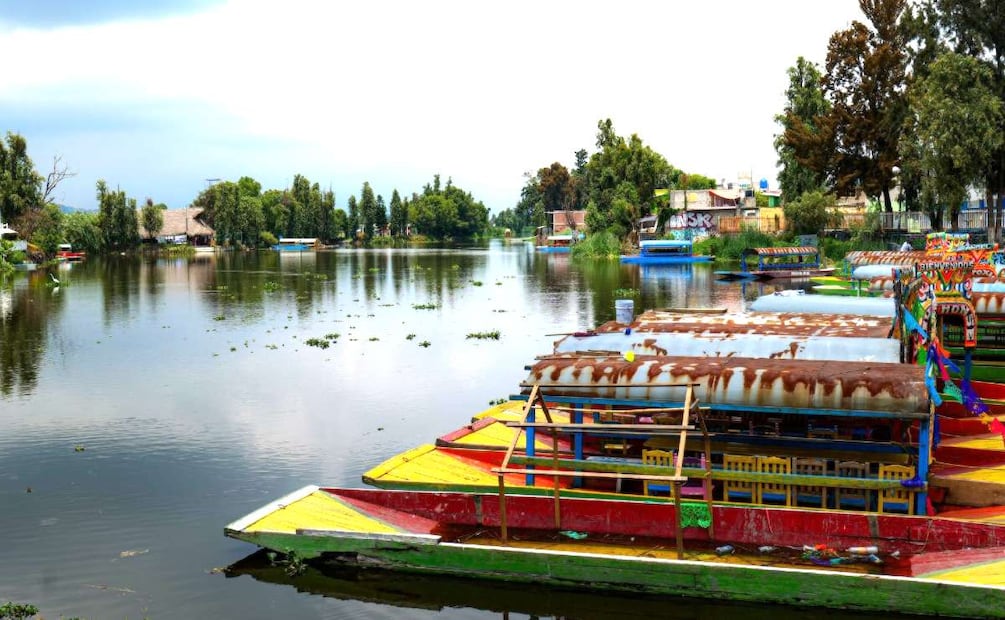 Foto: Cuartoscuro (Disfruta de un paseo relajante en los bellos canales de Xochimilco )