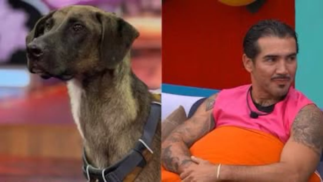 Mono Osuna y Tlacoyo (Vía: Redes)