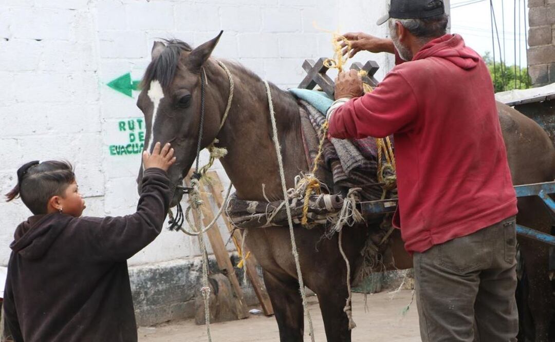 Rescatan 2 caballos durante clausura de tiradero que causó inundaciones, en Chimalhuacán