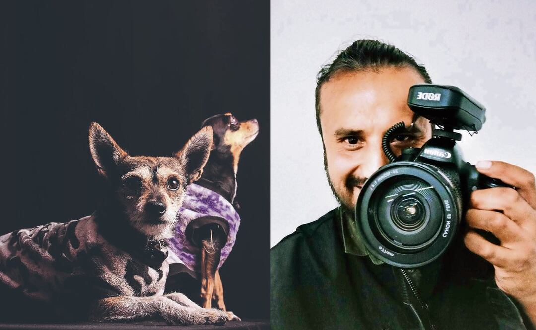 ¡No te quedes sin un recuerdo de tu mascota! Aquí está la opción para una buena sesión de fotos