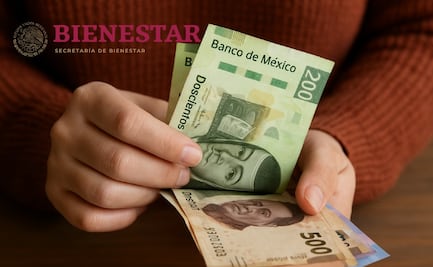 ¿Sabías de este Programa del Bienestar poco conocido? ¡Podrías recibir 6 mil 450 pesos mensuales!