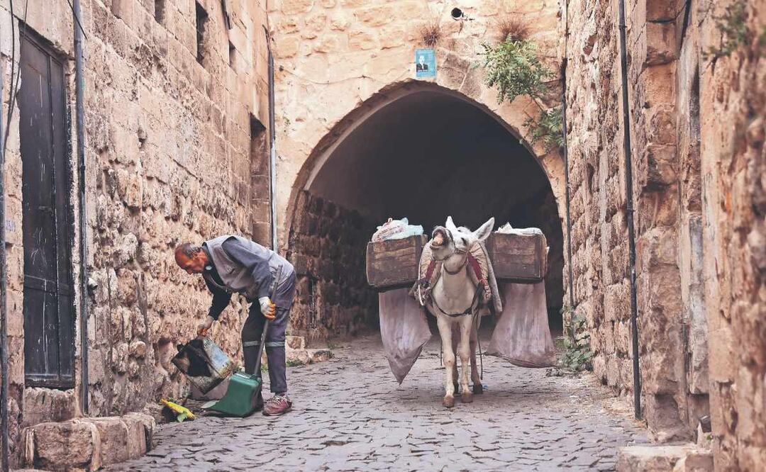 Burros en municipio turco sorprenden por su forma de trabajo y jubilación