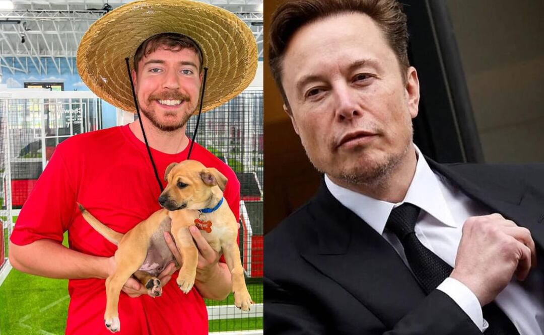 Mr Beast y Elon Musk, entre los posibles compradores de TikTok