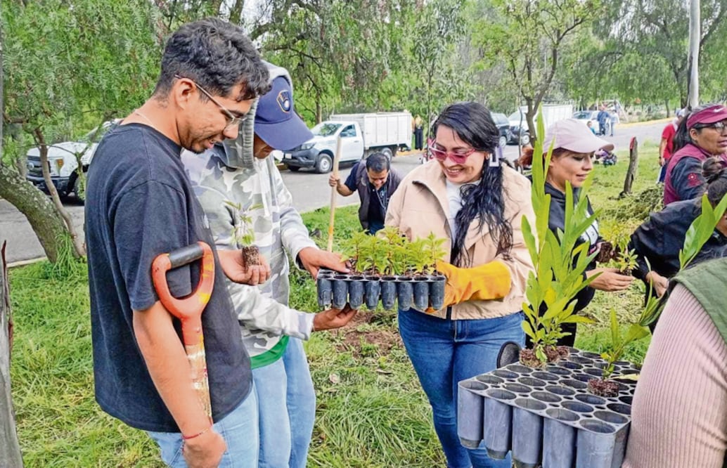 Aleida Alavez y Claudia Sheinbaum impulsan reforestación histórica en Iztapalapa (Foto: Especial)