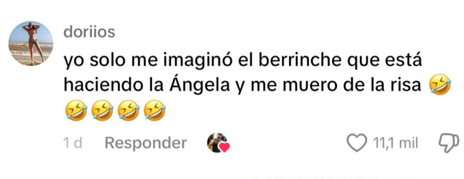 comentario-angela-aguilar.png