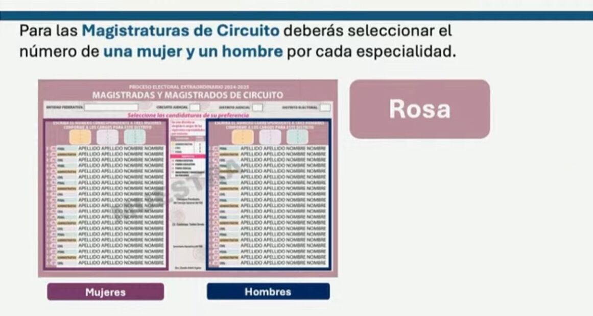 Boleta Rosa (Foto: Sergio Trejo)