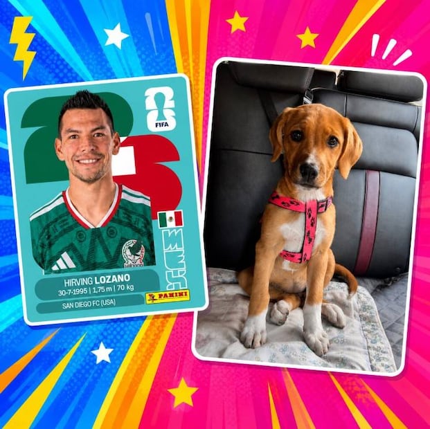 ¿Cómo hacer mi propia estampa del Mundial con mi foto o la de mi mascota? Aquí te decimos paso por paso. Foto: (IA)