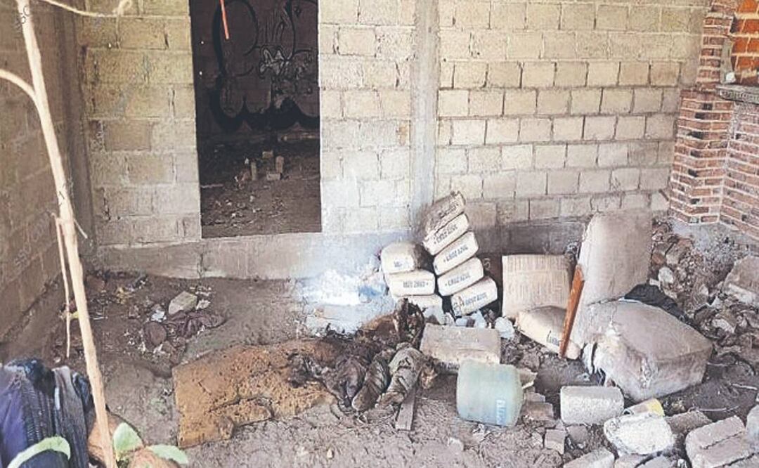 Madres buscadoras encontraron restos óseos semienterrados en el Ajusco