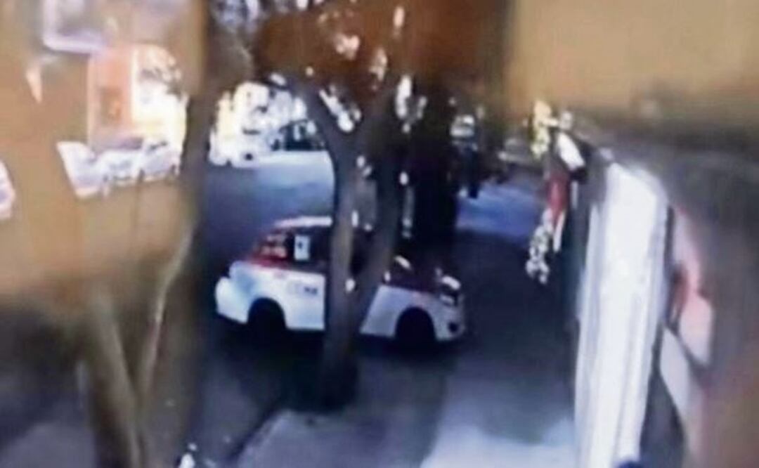 Por tener 35 mascotas, Araceli fue ultimada por su propio hermano en CDMX