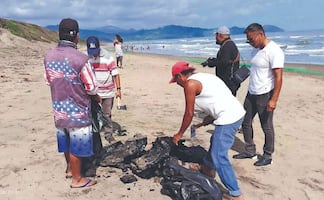 Emergencia ambiental en Veracruz: Derrame de petróleo llega a decenas de playas y no hay responsables