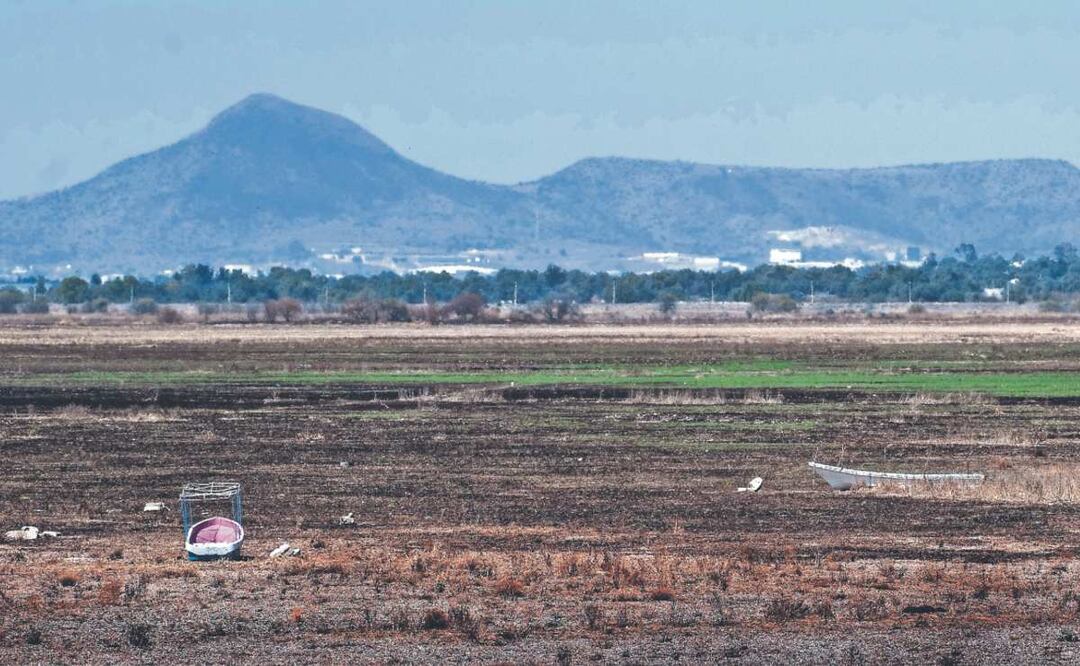 ¡Laguna de Zumpango aún puede ser rescatada tras estar seca! Este es el plan