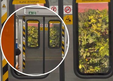 Metro CDMX: Usuarios dudan si las plantas del muro verde en Juanacatlán “sobrevivirán”