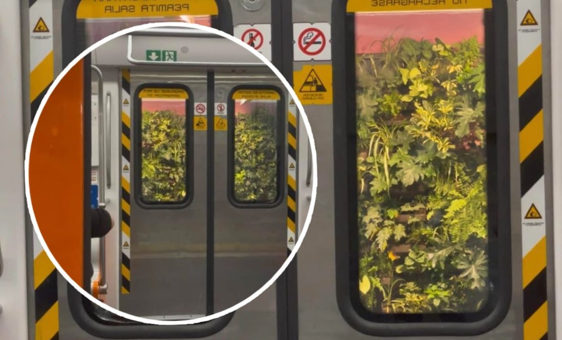 Foto: Yara Silva (Metro CDMX: Usuarios dudan si las plantas del muro verde en Juanacatlán “sobrevivirán”)