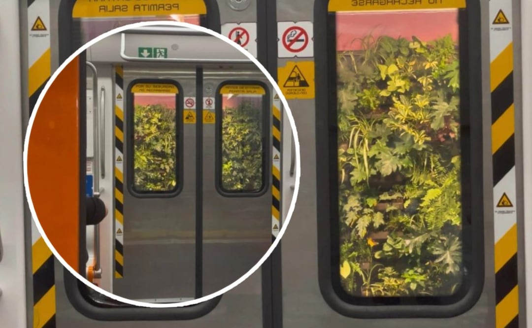 Foto: Yara Silva (Metro CDMX: Usuarios dudan si las plantas del muro verde en Juanacatlán “sobrevivirán”)