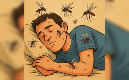 ¿Tipo de sangre o sudor? Así seleccionan los mosquitos a sus víctimas