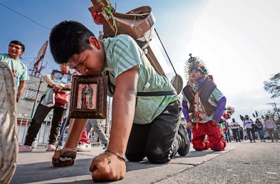 Peregrinación a la Basílica de Guadalupe: Historias de fe que marcan el 12 de diciembre