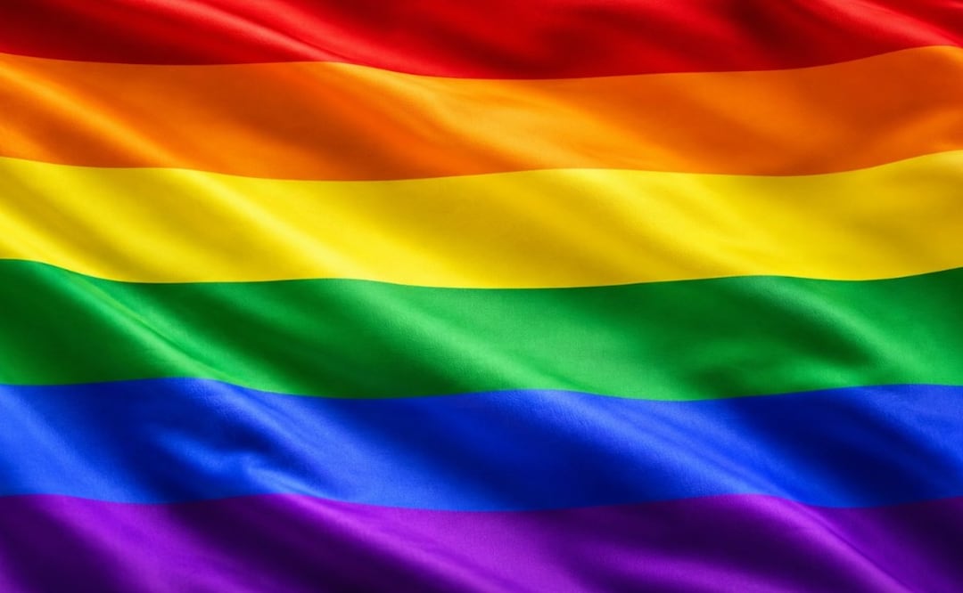 ¿Qué significan los colores de la bandera LGBT+? El origen de cada tono. Foto: (Especial)