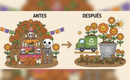 ¡No las tires! ¿Dónde reciclar tus flores de cempasúchil en CDMX, tras el Día de Muertos?