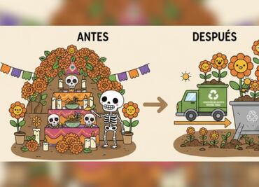 ¡No las tires! ¿Dónde reciclar tus flores de cempasúchil en CDMX, tras el Día de Muertos?