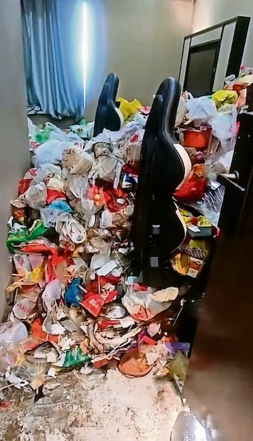 Gamer (Foto: The Sun)