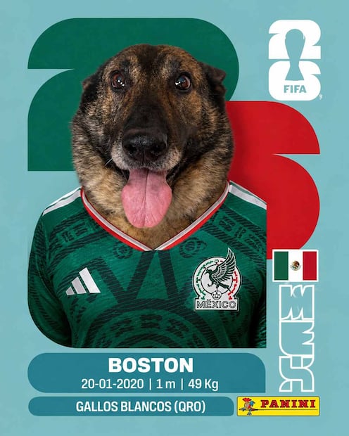 ¿Cómo hacer mi propia estampa del Mundial con mi foto o la de mi mascota? Aquí te decimos paso por paso. Foto: (IA)