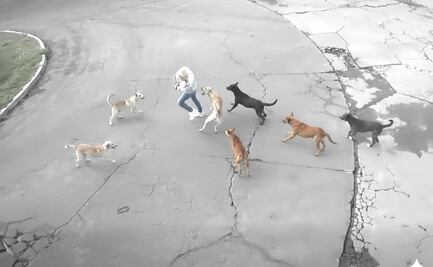 Jauría ataca a mujer en Ixtapaluca y automovilista la salva