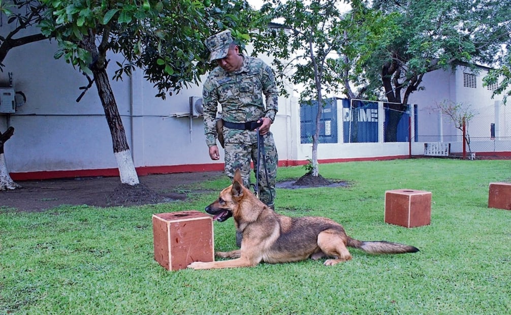 Bundas un binomio con mucho ímpetu. Foto: Edgar Ávila / EL GRÁFICO