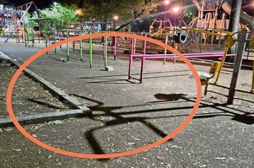 Abuelito muere golpeado por futbolistas tras disputa por un balón, en Coyoacán (Foto: Especial)