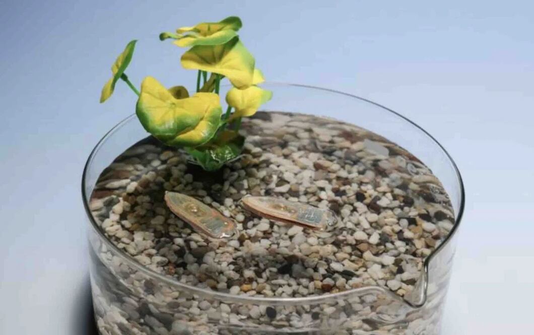 Robots biodegradables (Foto: Especial)