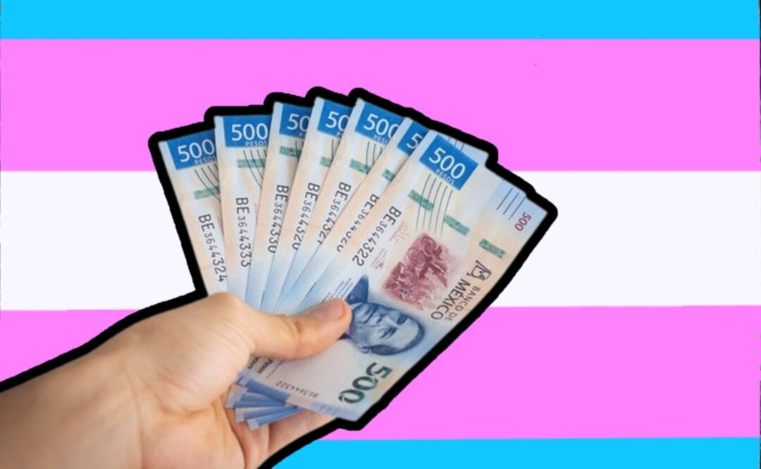 Apoyo económico para la comunidad trans (Foto: Especial)