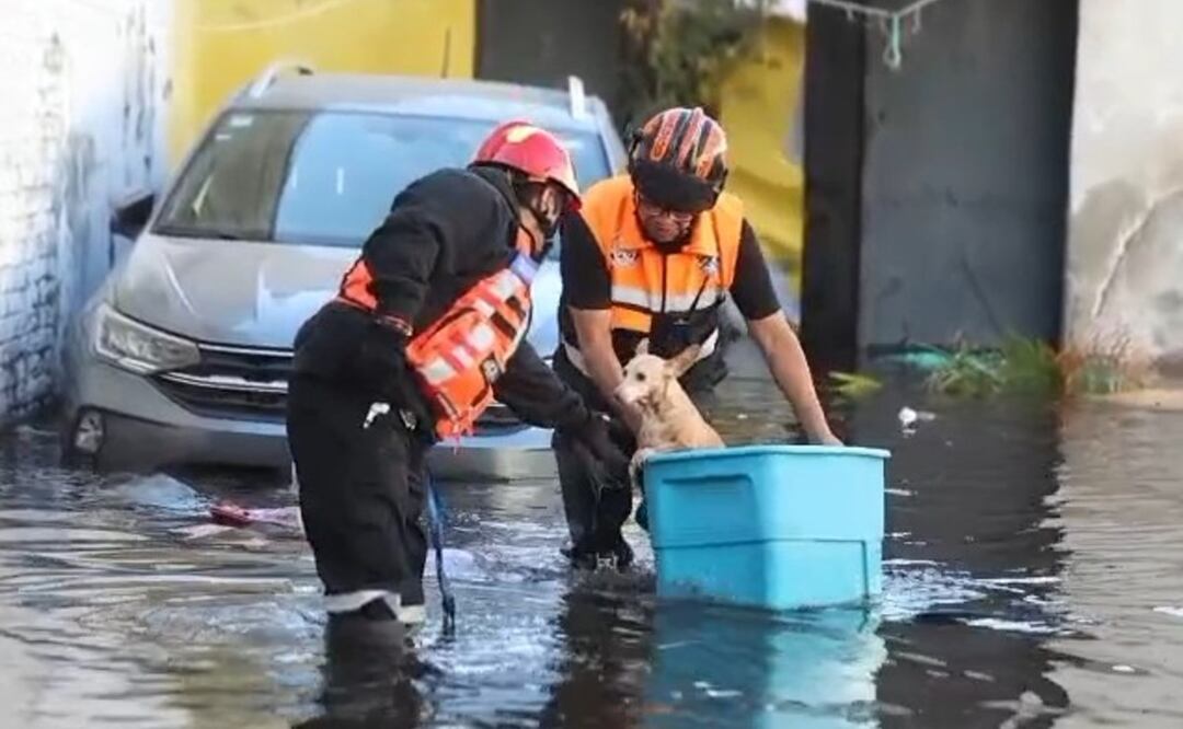 Fuga de agua inunda casas y negocios en Azcapotzalco, vecinos piden apoyo urgente. Foto: (Francisco Rodríguez. El Gráfico)