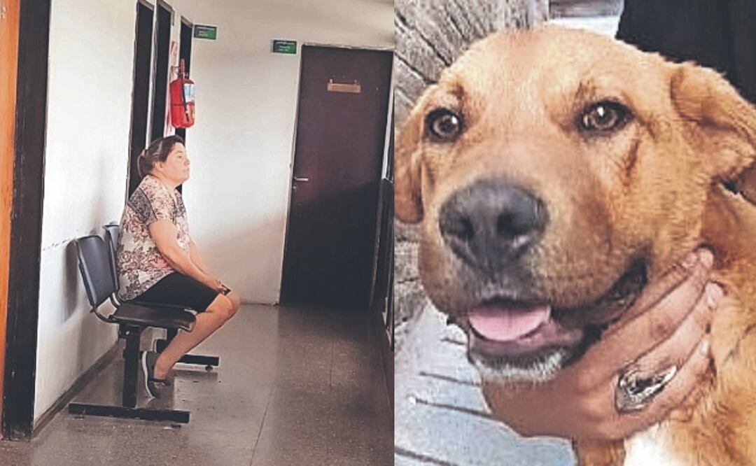 Mujer pidió a carniceros que le prepararan un perrito para comer, en Argentina