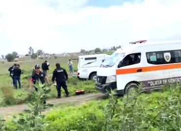 Hallan a perros comiéndose una cabeza humana en Chalco ¿Qué más se conoce del caso?