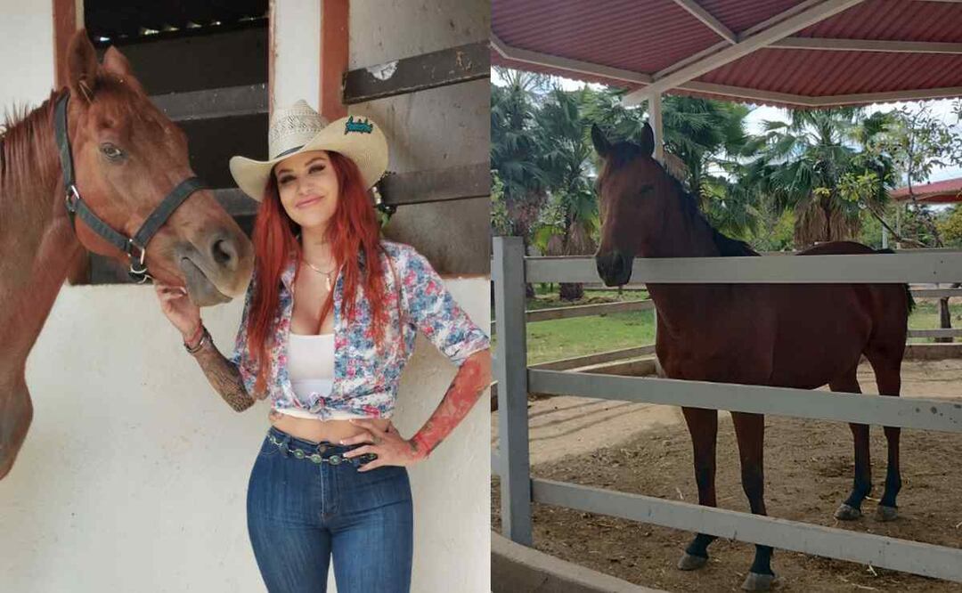 Elena Larrea hace todo por sus 50 hijos de 4 patas, hasta... mostrar de más