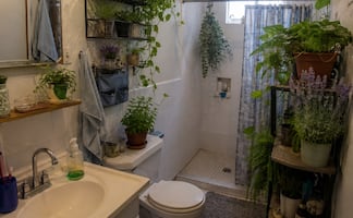 Transforma tu baño en un spa: 4 plantas que absorben la humedad y aromatizan de forma natural