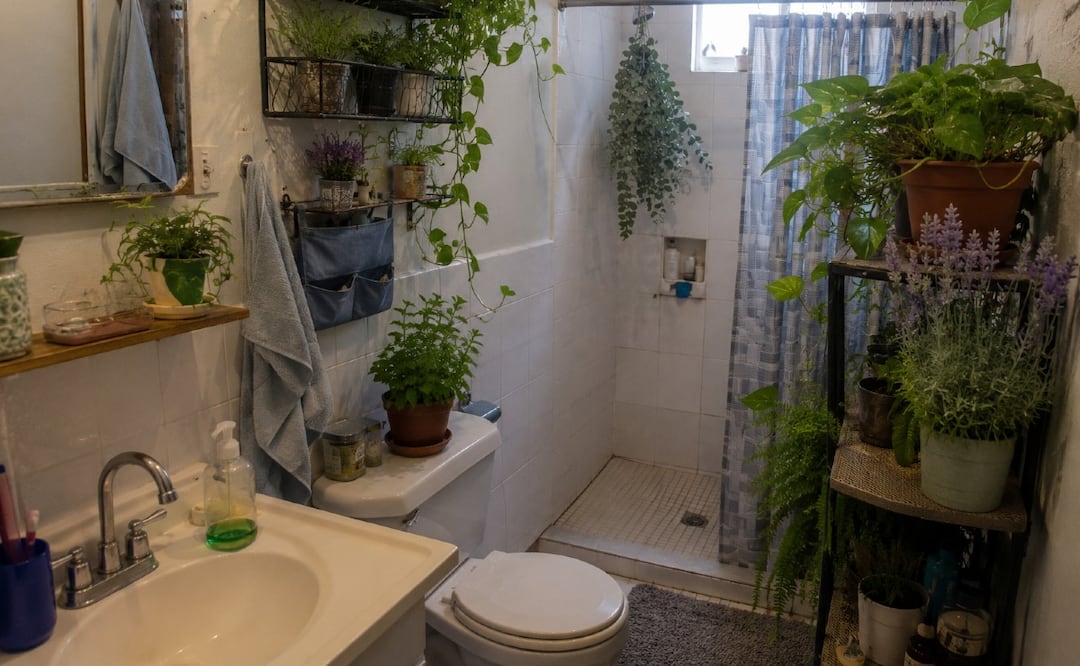 Transforma tu baño en un spa: 4 plantas que absorben la humedad y aromatizan de forma natural
Imagen Ilustrativa: ia