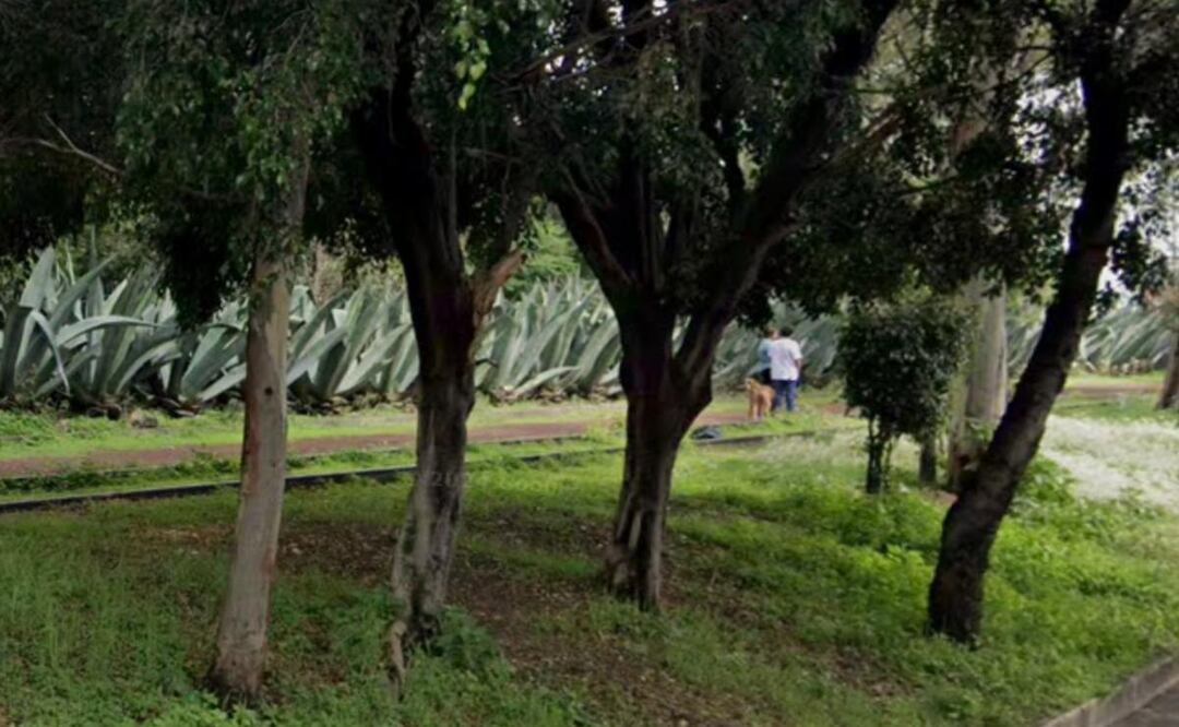 Matan a golpes a un indigente, en un parque de la Miguel Hidalgo