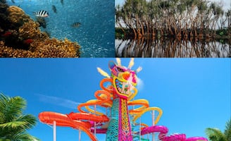 Caso "Perfect Day" en Mahahual: ¿Por qué es importante la conservación de arrecifes y manglares?