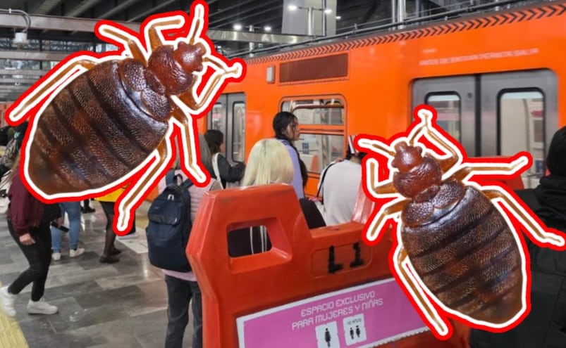 VIDEO: Usuario aplasta chinche en la remodelada Línea 1 del Metro CDMX y se desata la preocupación