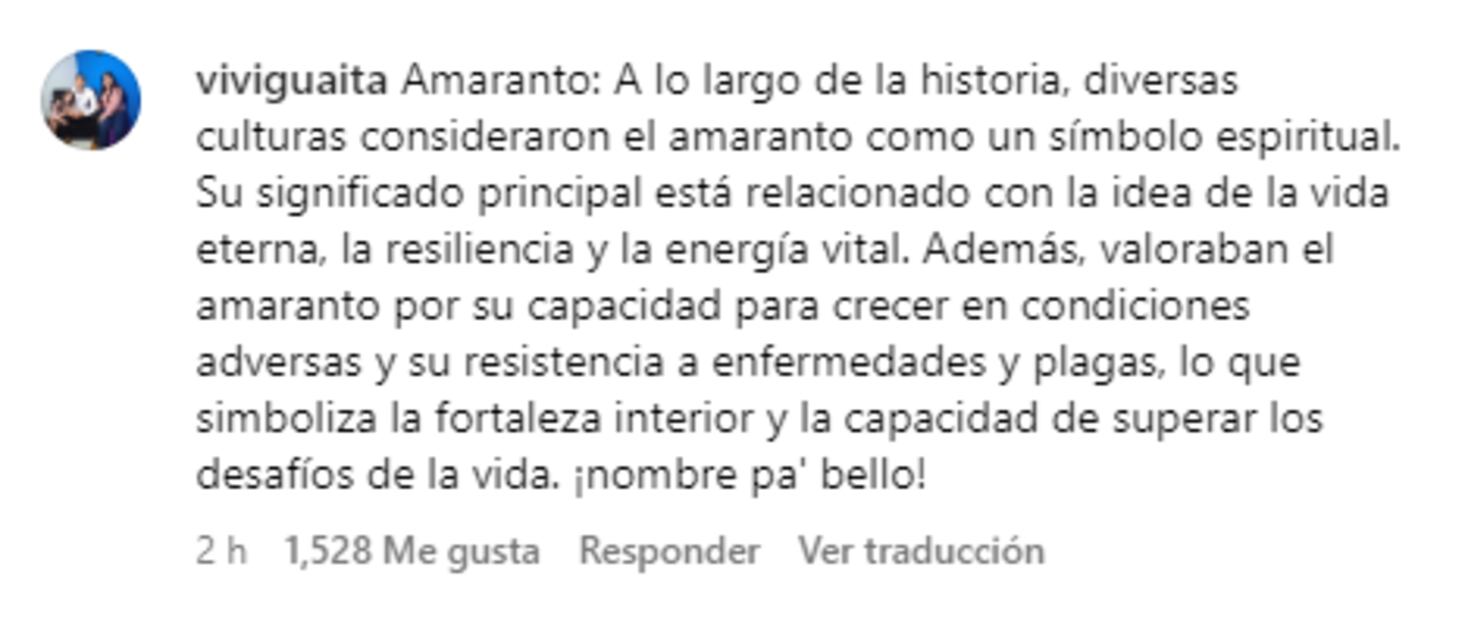 comentario-amaranto-bien.png