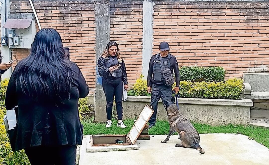 Encuentran a mujer sin vida en una cisterna, en Ozumba (Foto: Especial)