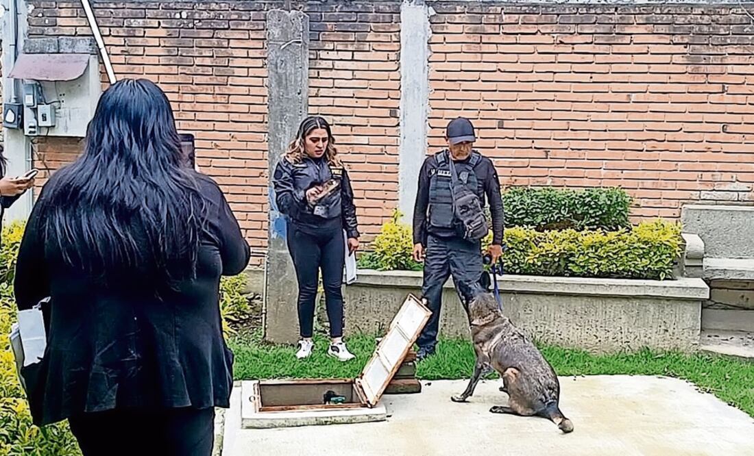 Encuentran a mujer sin vida en una cisterna, en Ozumba (Foto: Especial)